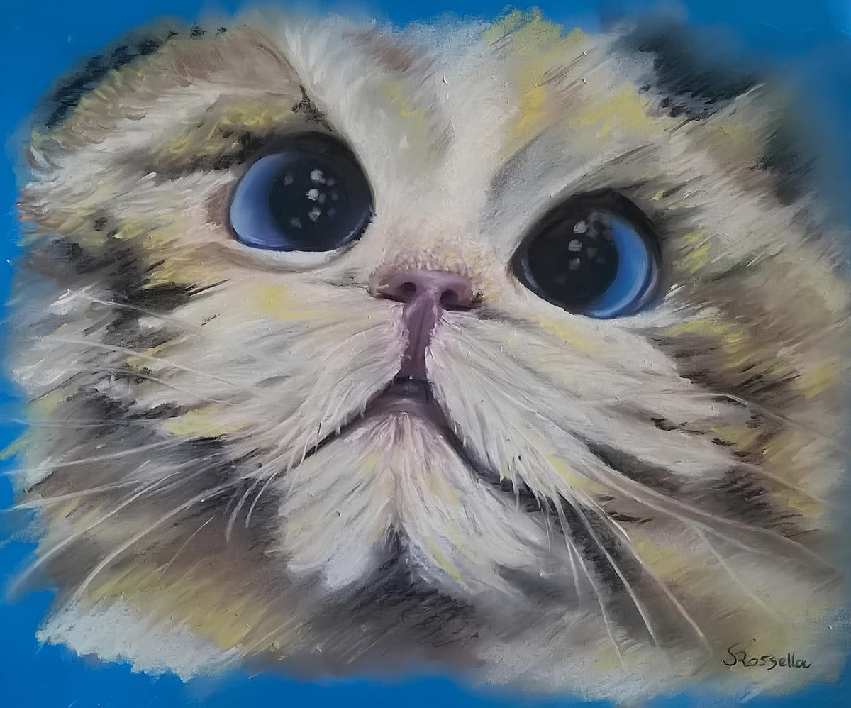 The Cat Eyes