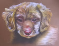 The Cute Dog – 6 × 8 Inch Art Print
